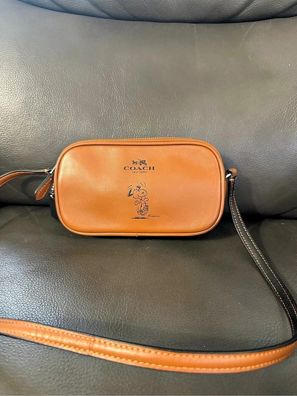 Coach x Peanuts Mini Jamie Camera Bag with Snoopy Print Brown & Black